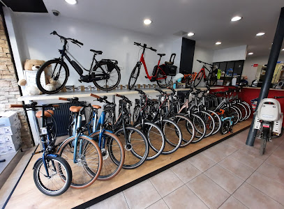 Intérieur magasin de vélos Saint-Mandé